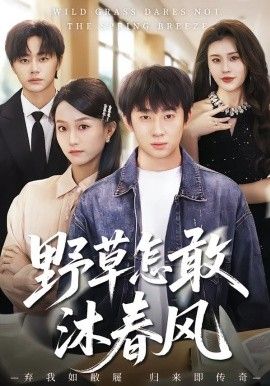 野草怎敢沐春风封面图