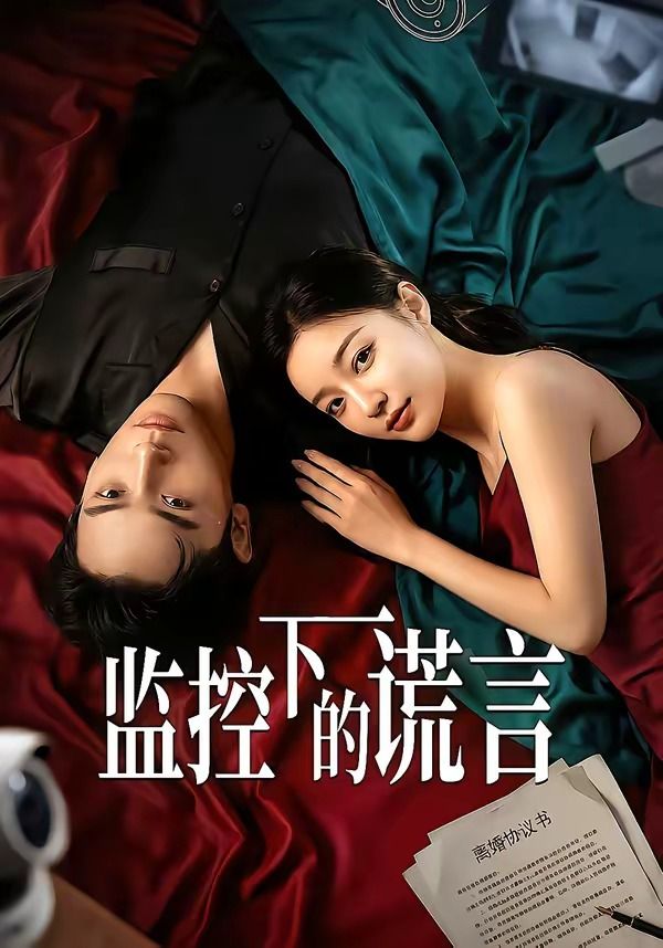 监控下的谎言封面图