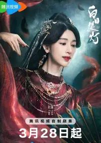 白日提灯，贺思慕封面图